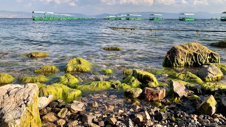 抚仙湖:玉溪市的生态宝藏和可持续发展典范|抚仙湖|玉溪市|宝藏|典范|可持续发展_新浪新闻