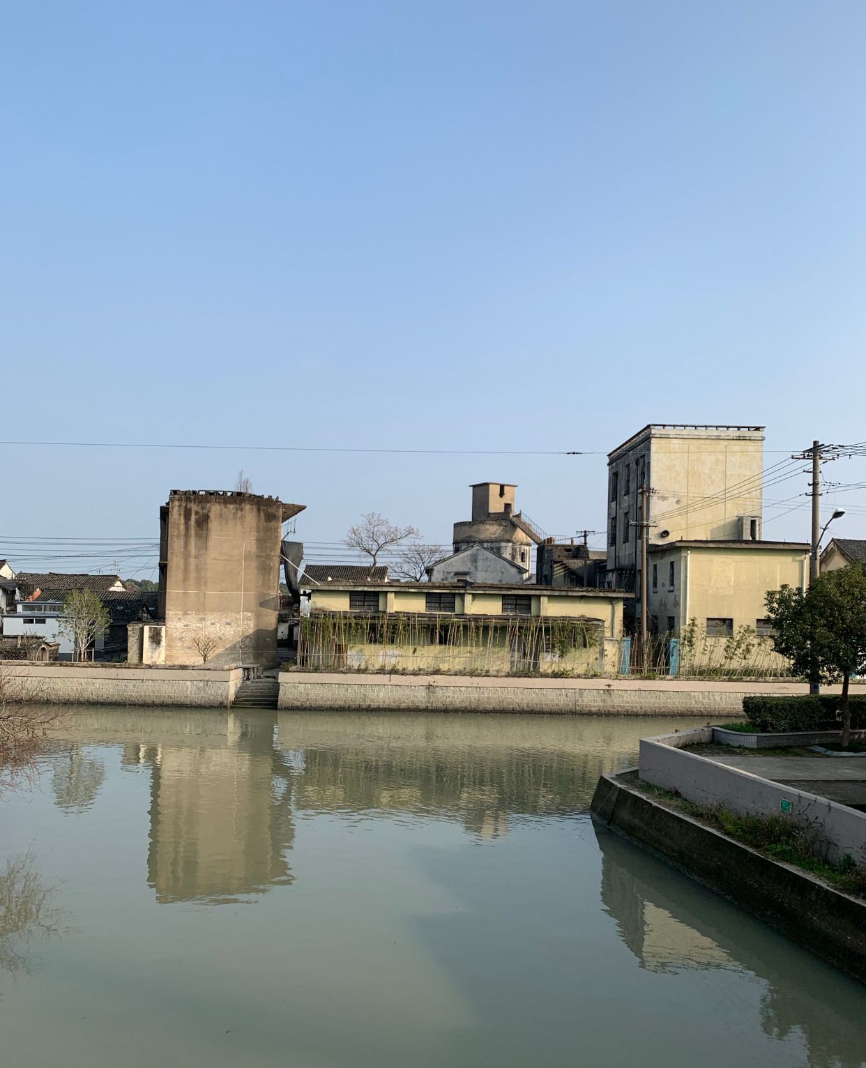 乘风破浪拍摄地丁栅