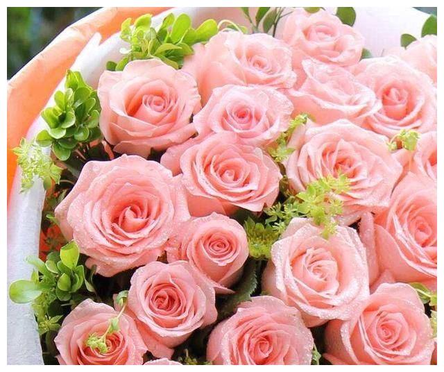 4月桃花翩翩起舞 喜鹊莺啼 这四大星座会觅得锦绣良缘 喜鹊 桃花 星座 新浪新闻