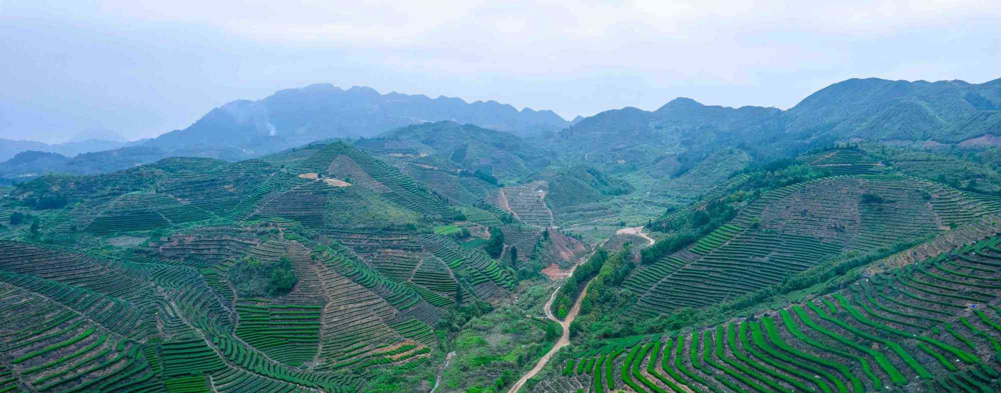 假日游玩推荐揭西大洋国际生态旅游区风景如画赶紧来打卡吧