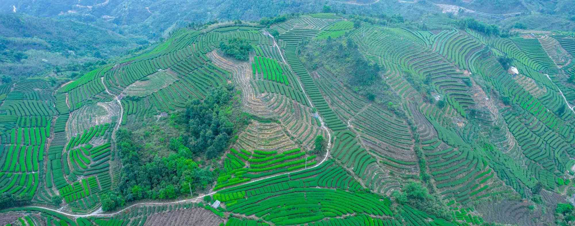 假日游玩推荐揭西大洋国际生态旅游区风景如画赶紧来打卡吧