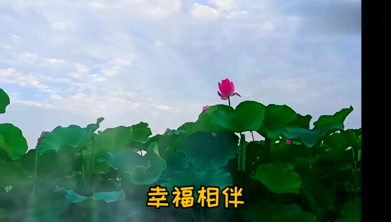 人生最幸福的事,一家人三餐四季,一生一世,幸福相伴,平淡相守