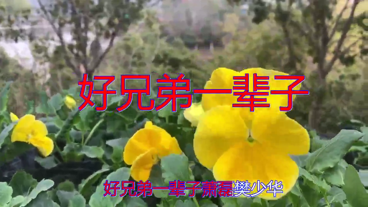 dj何鹏,萧磊,樊少华《好兄弟一辈子》,婉转悠扬,把我听醉了