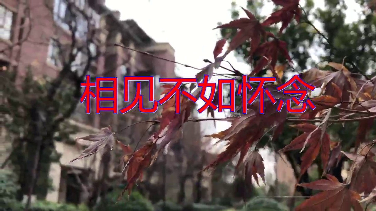 韩宝仪《相见不如怀念》,歌声回荡在脑海,不输原唱