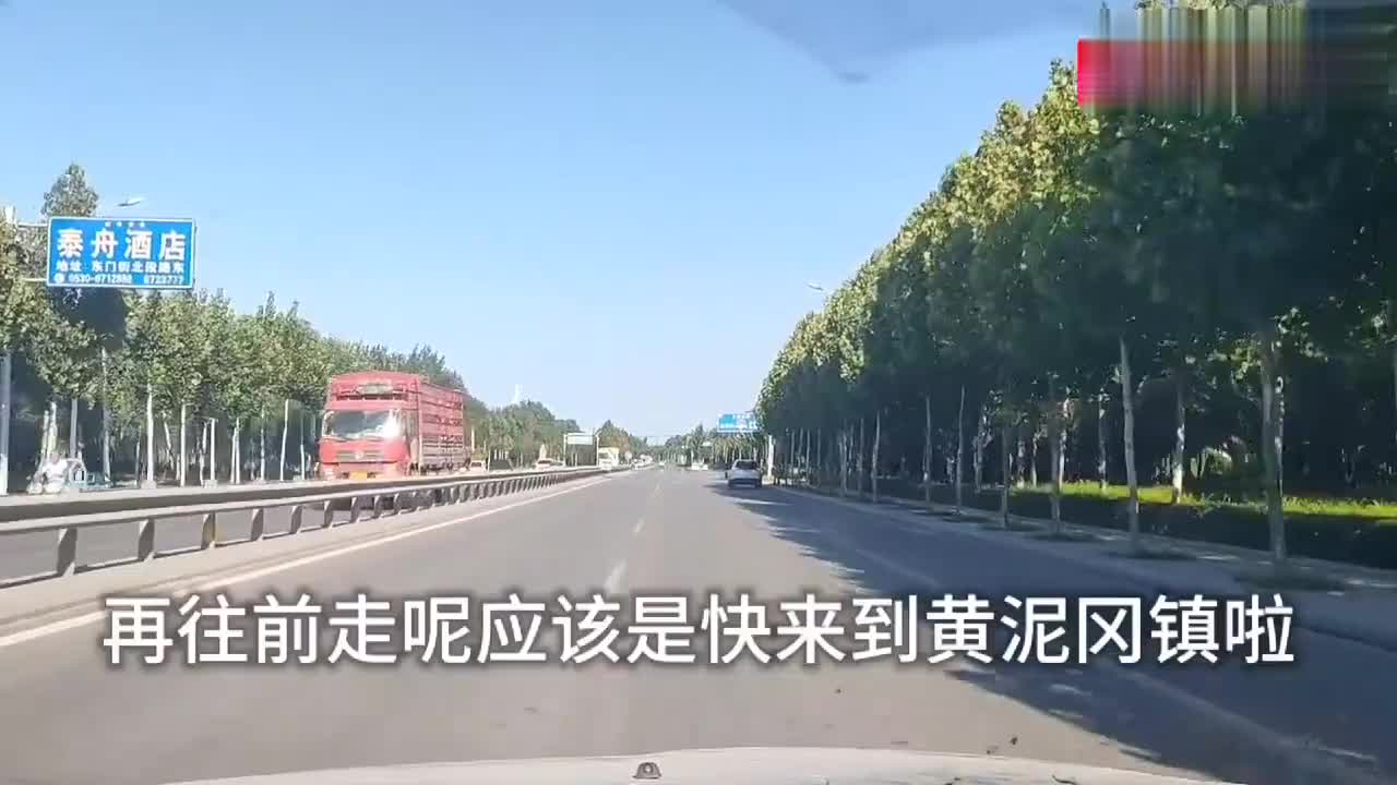 山东郓城黄泥岗,古镇大院玉米水塘,据说水浒好汉在此智取生辰纲