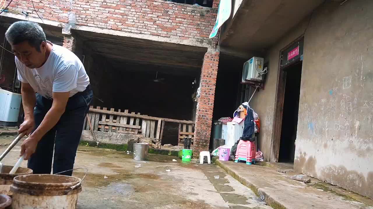 蜀中桃子姐做一大盘子姜鸭丝,开胃下饭,一家人吃得美滋滋