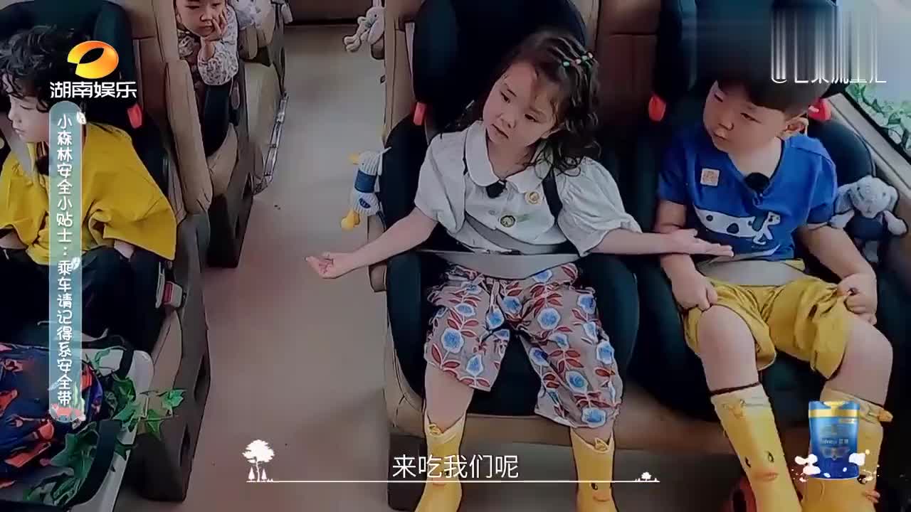 奇妙小森林:直男是从小养成的!小宝聊天太硬核,艾玛满脸绝望!