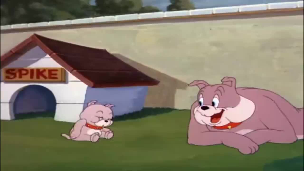 猫和老鼠:狗哥教儿子当狗,汤姆惨成教学工具锚!