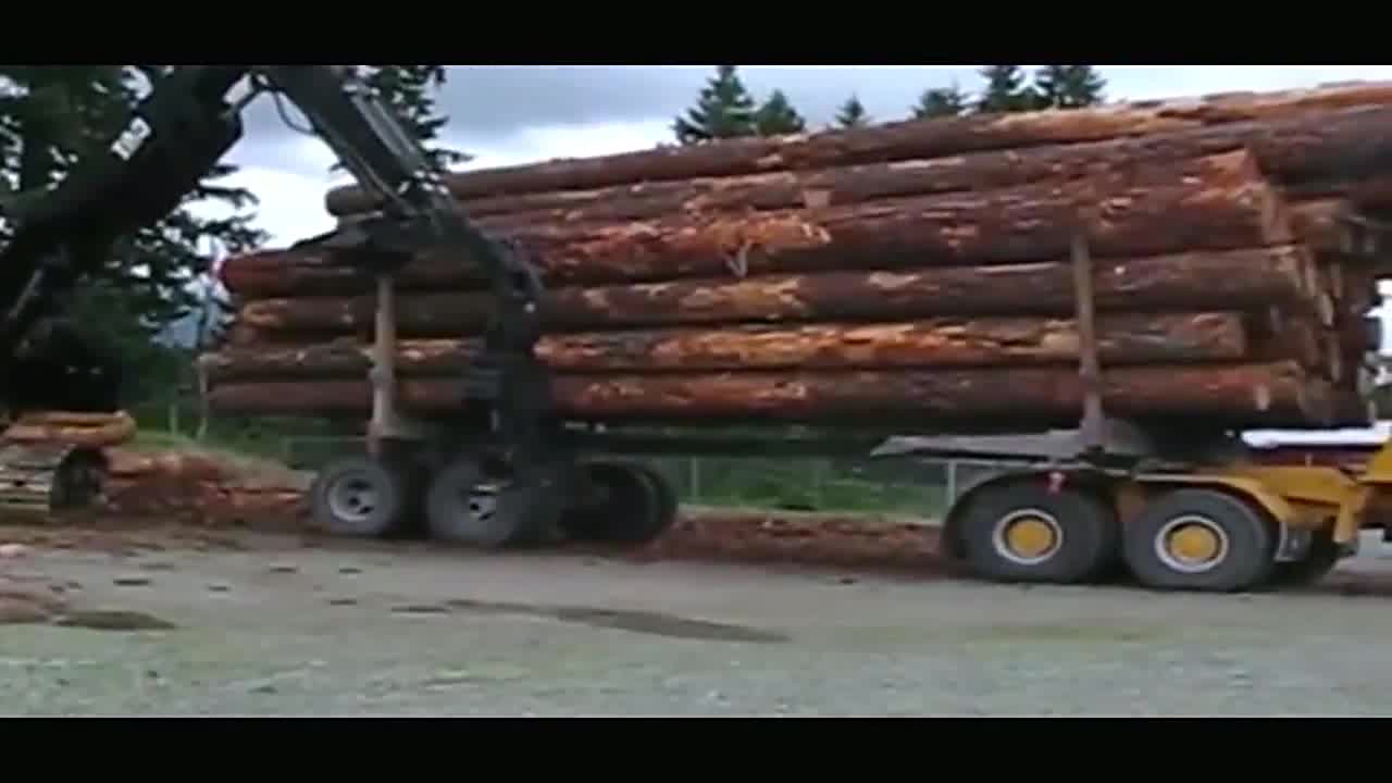 看看这拉木材的车拉了多少吨,少说也有两层楼高了吧