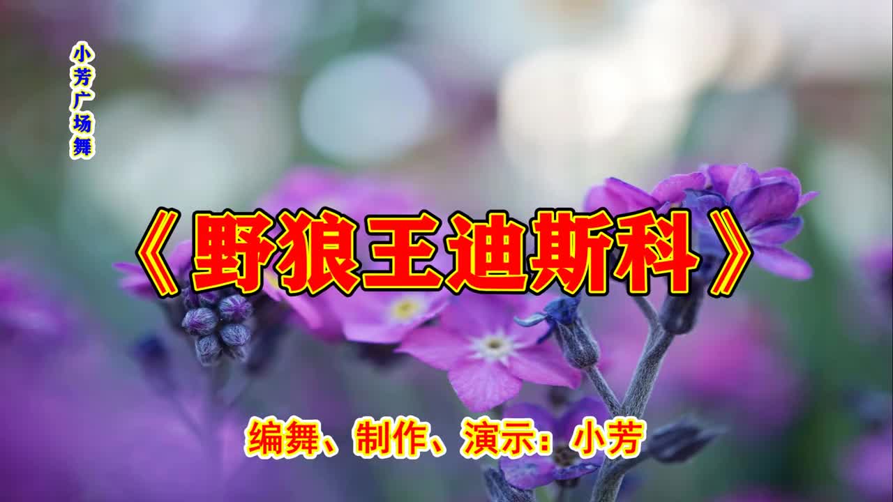 酷帅劲舞舞厅舞《野狼王的士高》,经典dj舞曲,迪斯科广场舞