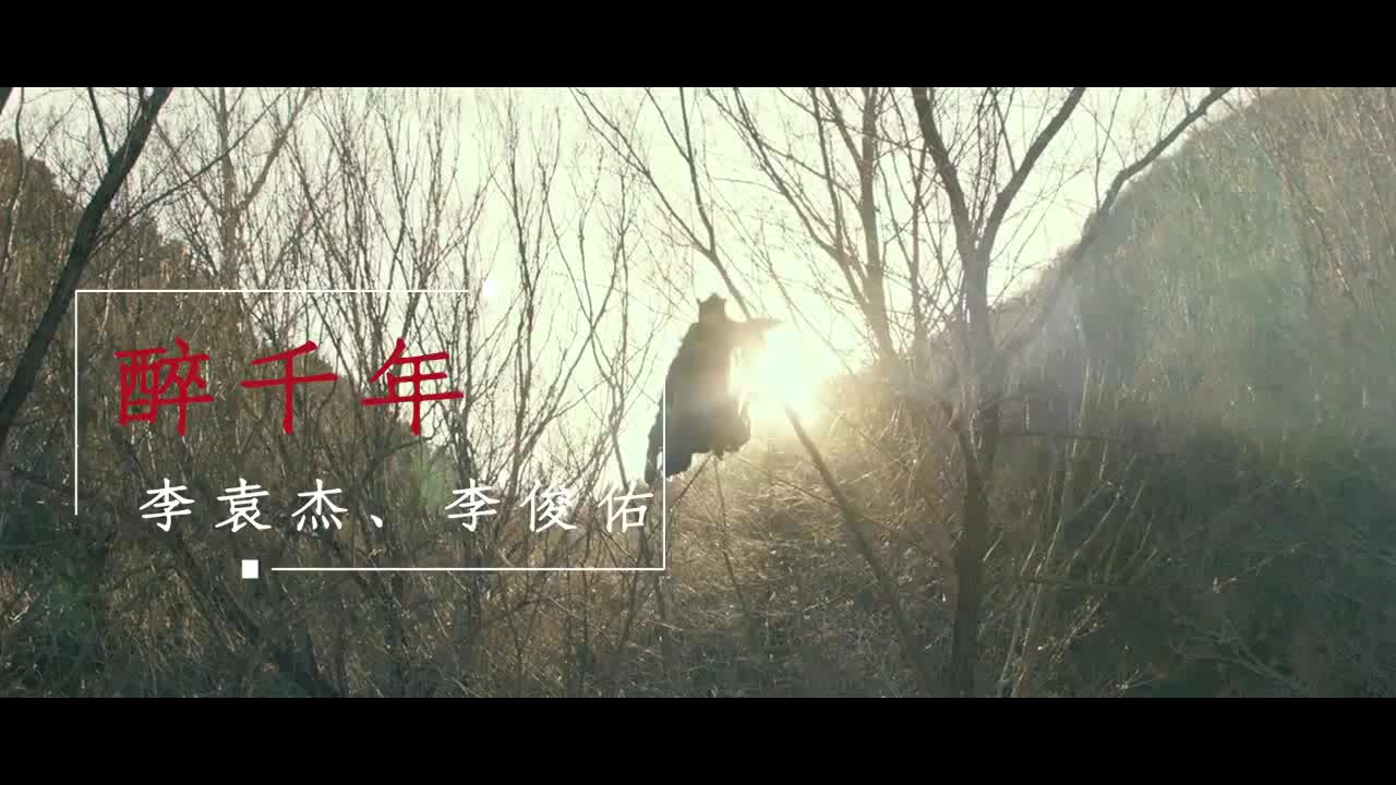 李袁杰古风歌曲醉千年歌词旋律优美感人唱出美好爱情