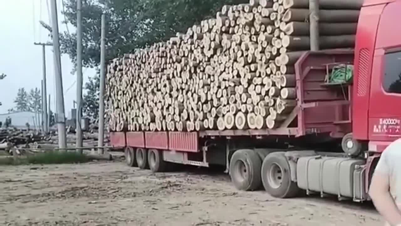 广东大货车司机卸木头,一番操作猛如虎,看着真想玩一把!