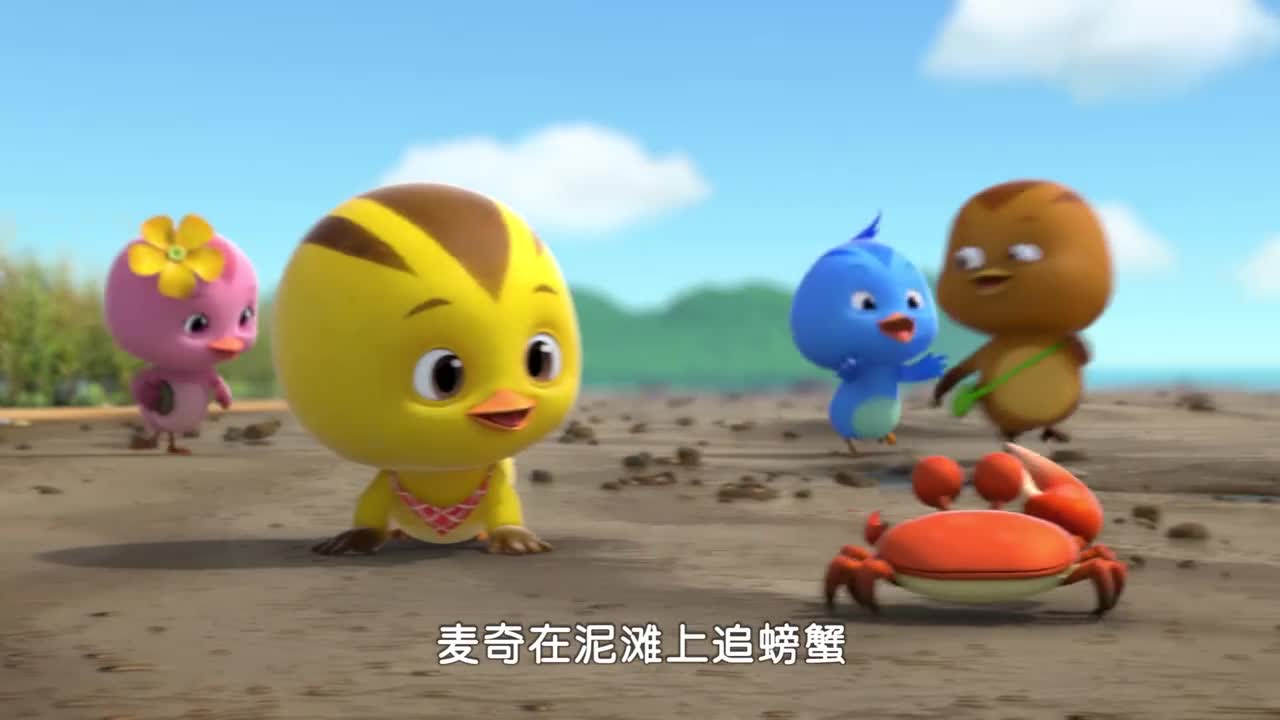 萌鸡小队:麦奇真是可爱,还能追着螃蟹走,让人家都逃跑了