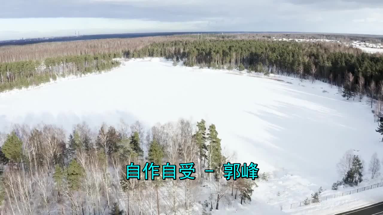 歌曲《自作自受》,十分好听