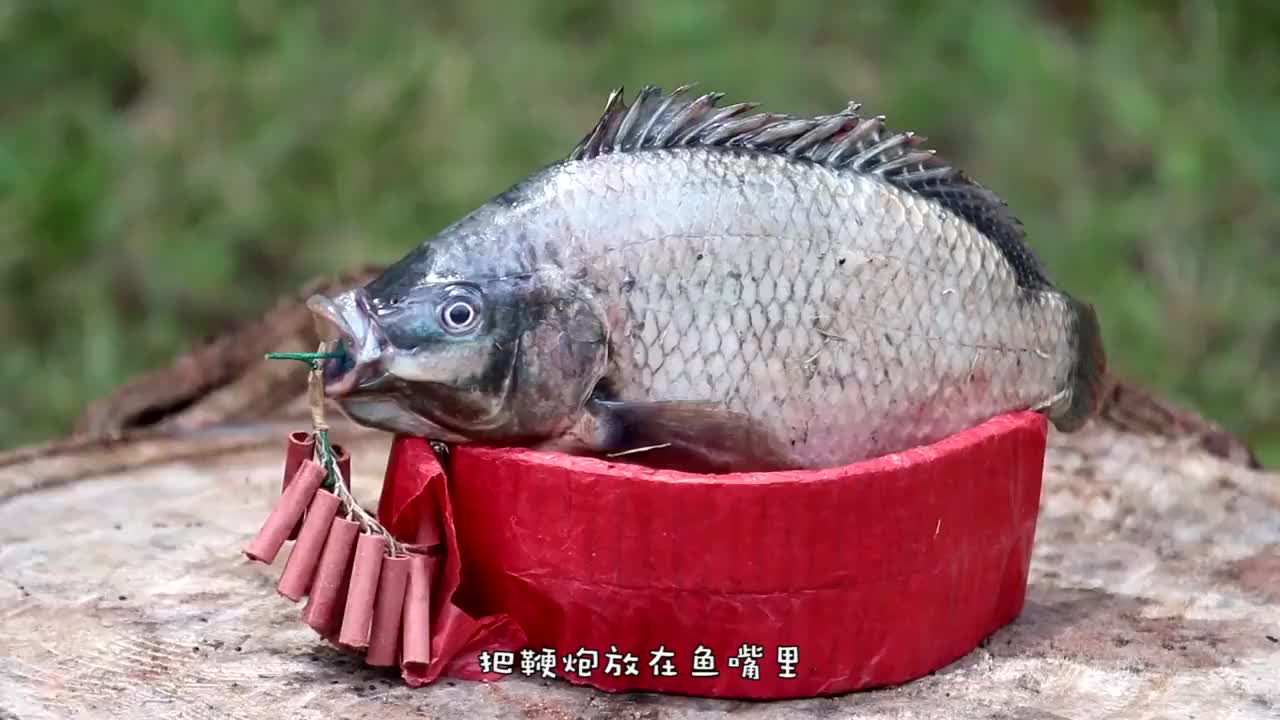 鞭炮炸鱼,一炮就是一条,这种捕鱼技术还真是第一次见!