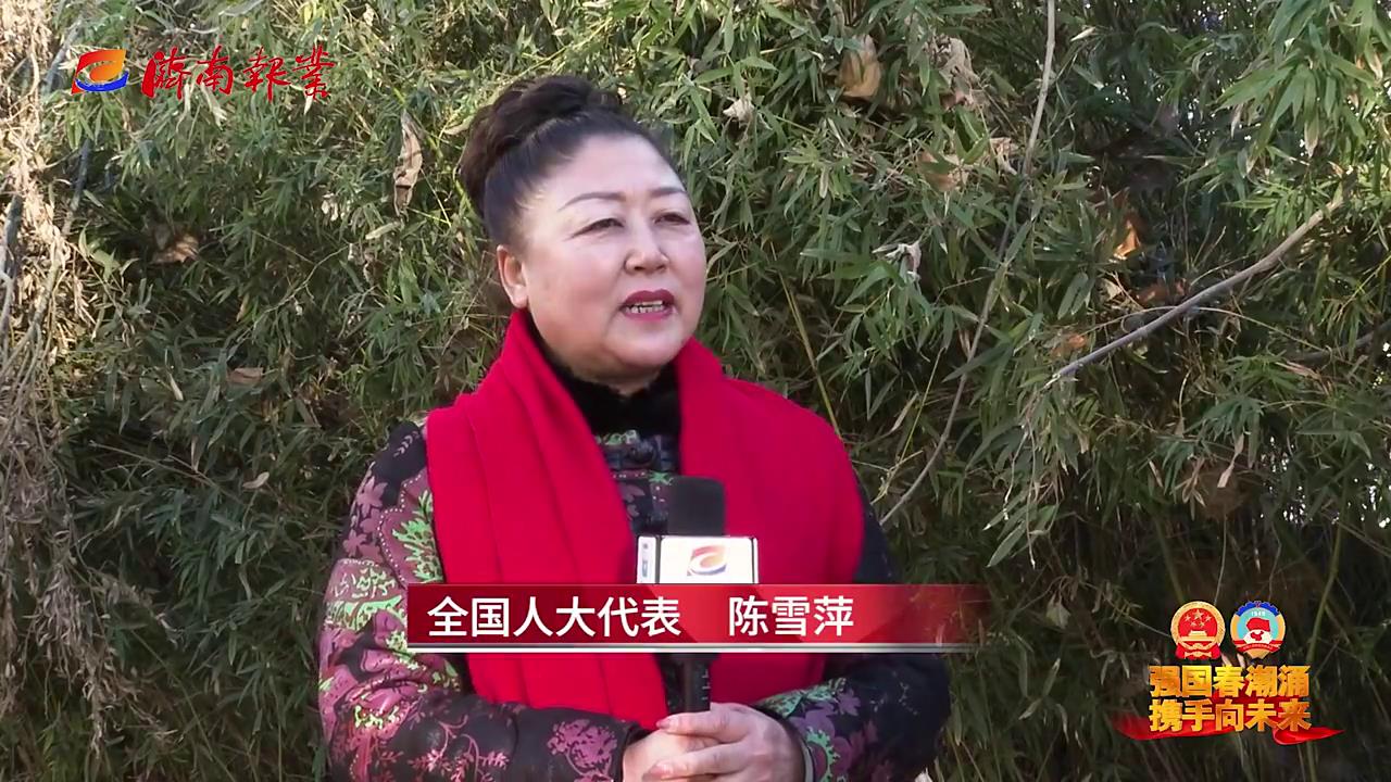 全国人大代表陈雪萍为彻底解决农民工工资无拖欠问题出力