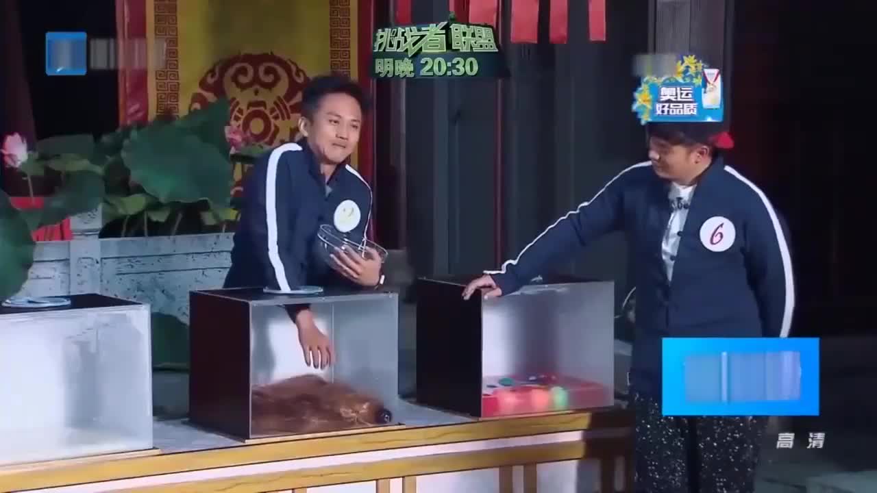 邓超摸盲盒吓得盆都扔了看到是什么后都懵了