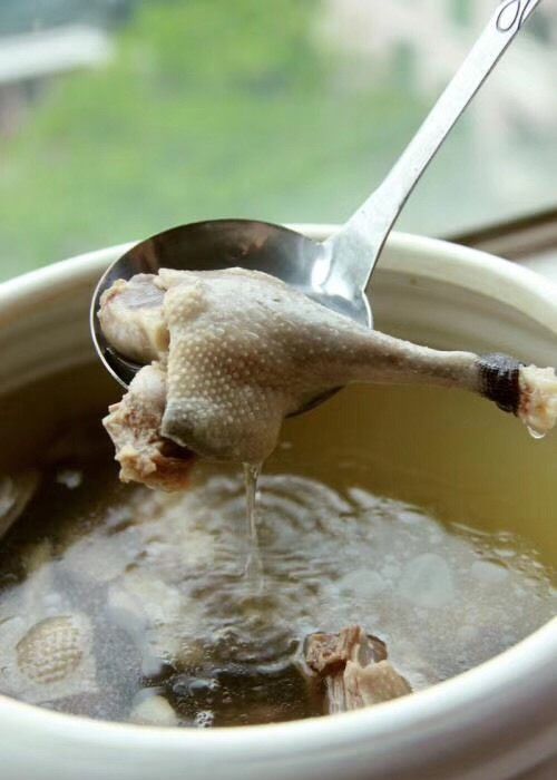 连城白鹜鸭 白鸭汤