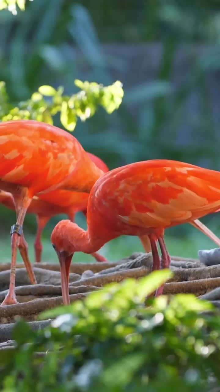 分享一首《名龙-季彦霖-只是太爱你(electromelbournermx)》