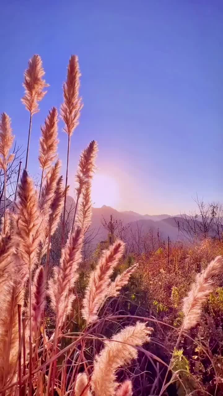 人生旅途一岁有一岁的味道一站有一站的风景