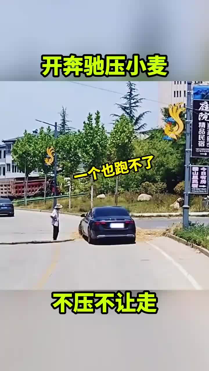 开奔驰压小麦，不压不让走！