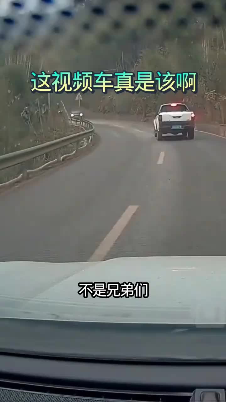 这视频车真是该啊，猪没撞树上，你却撞猪上了