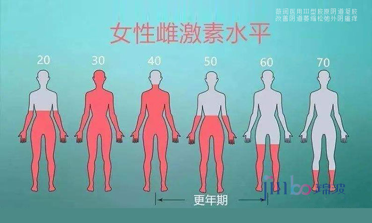 薇润百科 雌激素的重要性 女生看完就明白 雌激素 女性 更年期 新浪新闻