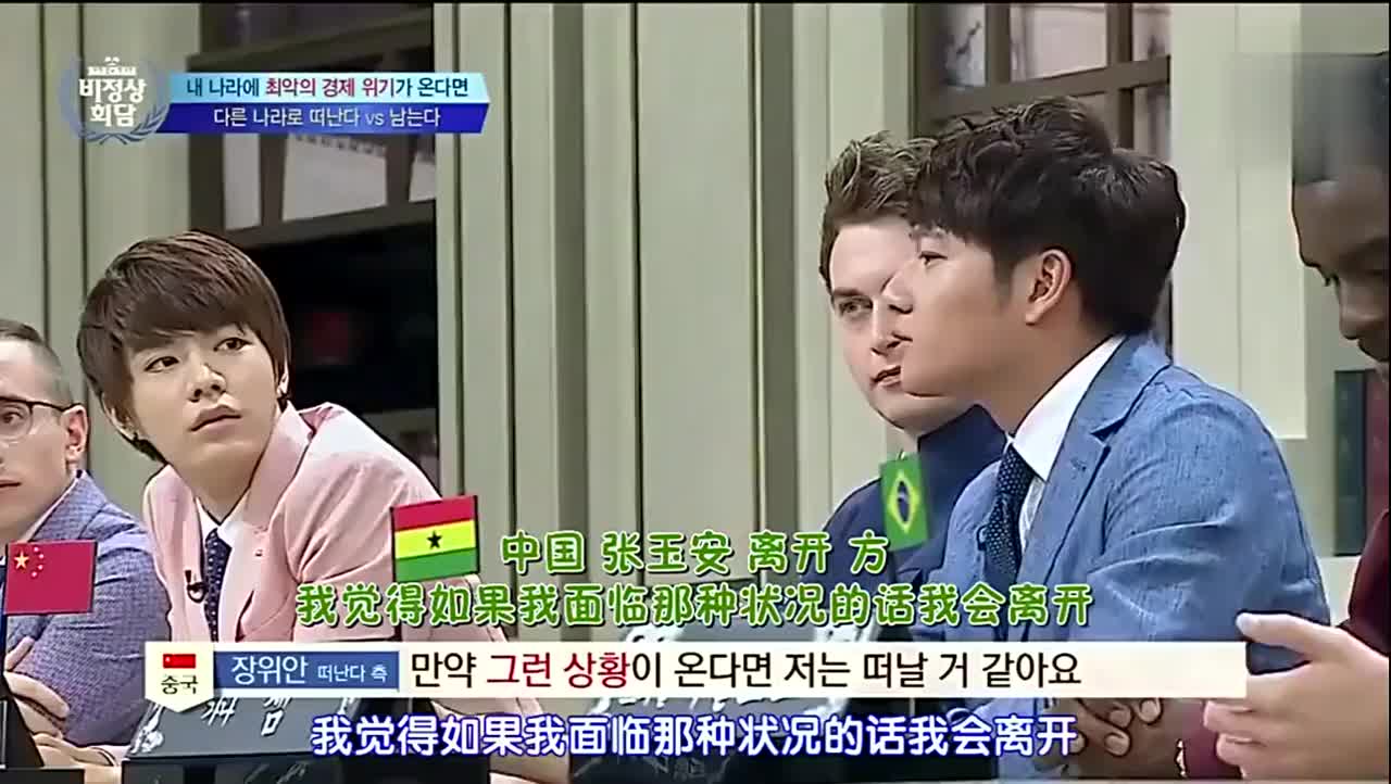 非首脑会谈 张玉安在说要如何解救中国, 遭到全场质疑!