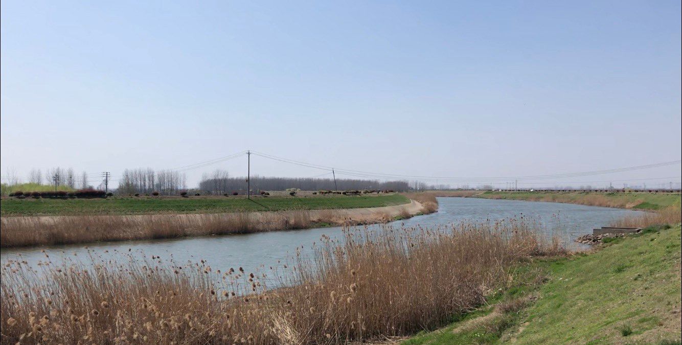 江北明珠——滁河风光带,每年三四月间这里的万亩油菜花田太美了