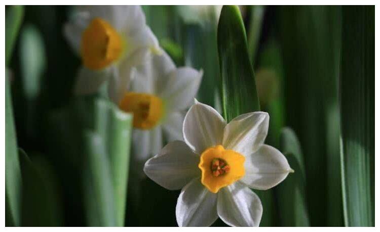 3月上旬开始鸿运当头 横财降临 钞票如雨的四大星座 财富 鸿运当头 横财 新浪新闻