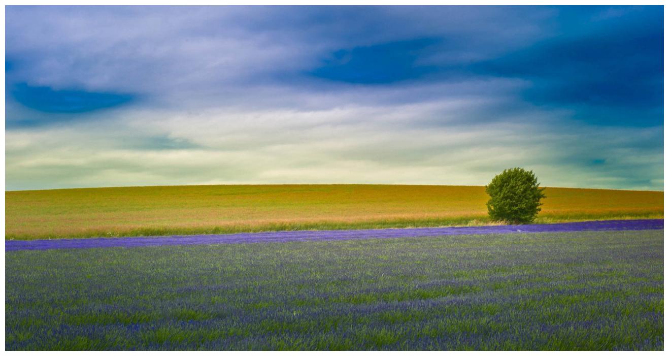 请不要因为金牛座的不理不睬,就觉得你们分开是正确的选择休闲区蓝鸢梦想 - Www.slyday.coM 请不要因为金牛座的不理不睬,就觉得你们分开是正确的选择休闲区蓝鸢梦想 - Www.slyday.coM