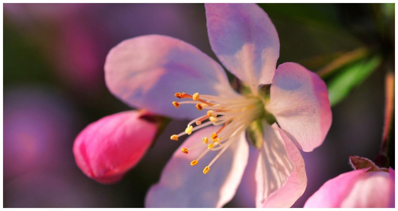 请不要因为金牛座的不理不睬,就觉得你们分开是正确的选择休闲区蓝鸢梦想 - Www.slyday.coM 请不要因为金牛座的不理不睬,就觉得你们分开是正确的选择休闲区蓝鸢梦想 - Www.slyday.coM