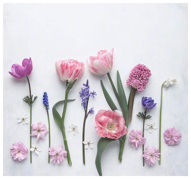 2020端午节最新祝福语,简短创意,暖人心窝!