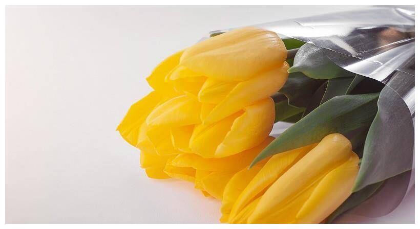 最深情的四个生肖 对爱情不将就 一旦爱上这辈子都是为了你 爱情 生肖蛇 爱人 新浪新闻