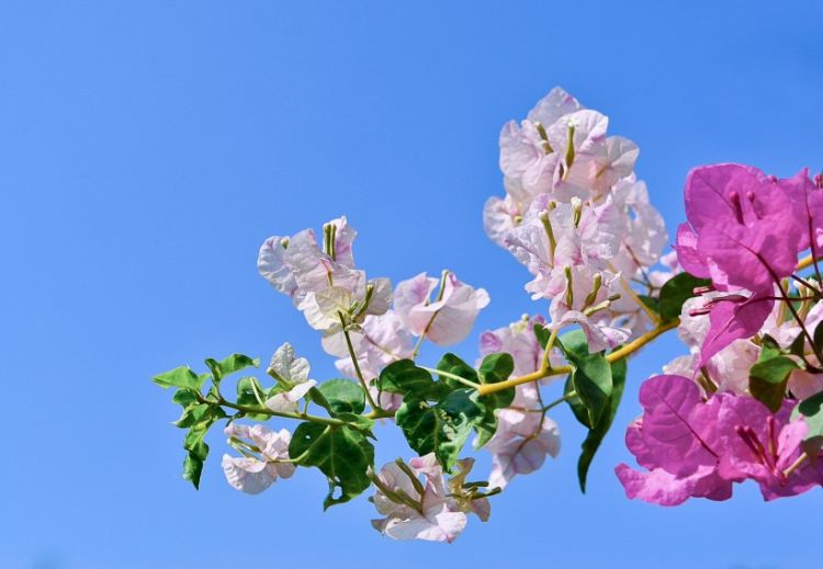 4月初，喜从天降，避开烂桃花，爱情柳暗花明的3个生肖