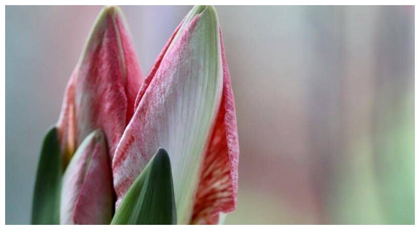 2022年，爱情开始幸福，事业走向成功，生活十全十美的4大星座休闲区蓝鸢梦想 - Www.slyday.coM