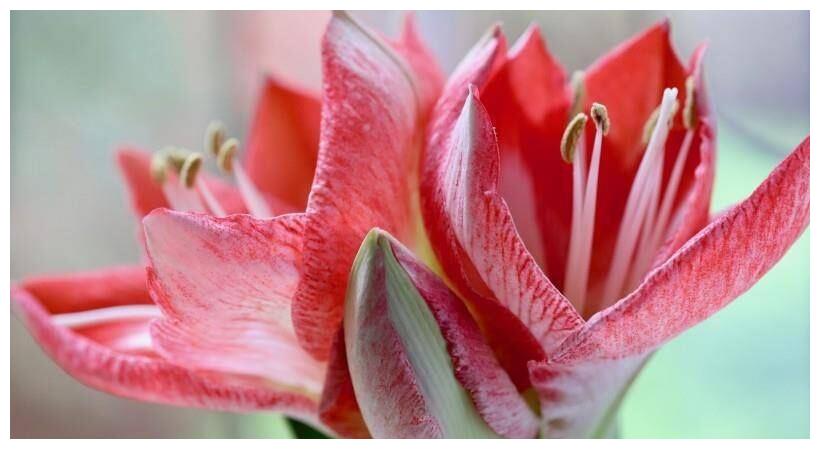 2022年，爱情开始幸福，事业走向成功，生活十全十美的4大星座休闲区蓝鸢梦想 - Www.slyday.coM