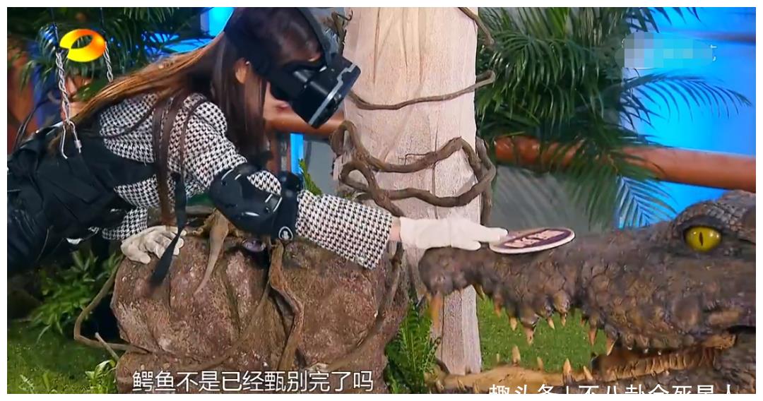 《巧手》baby立大胆人设,徒手抓蛇吓住嘉宾,杜海涛也配合她演戏