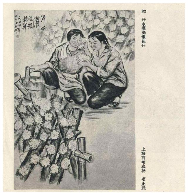 老画册:《上海上山下乡知识青年画选》上海人民出版社|画册|上海人民