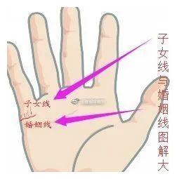 生育的子女质量或者身体素质不好5,如果结婚线上没有子女纹路,小拇指