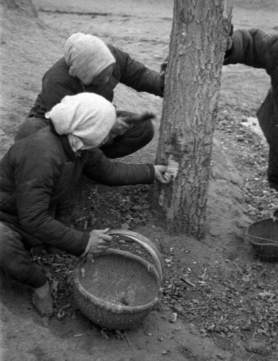 1942大饥荒,看一次揪心一次,现在仍有国家没解决温饱问题