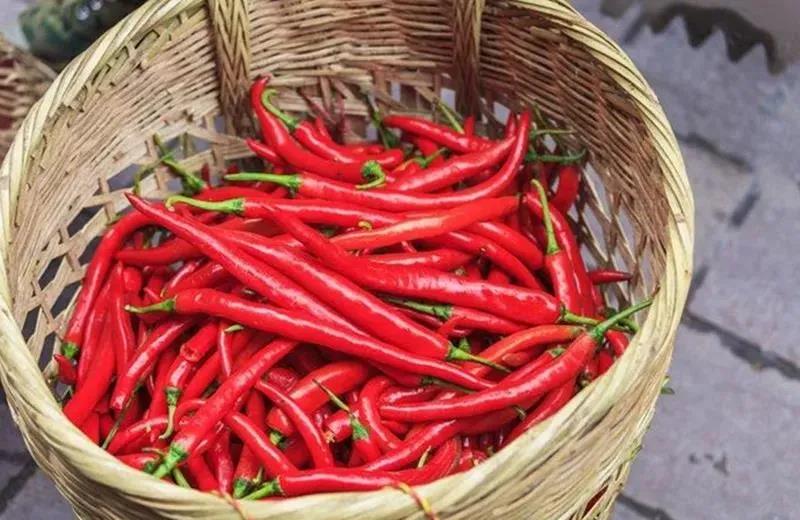 车田辣椒是资源县历史悠久的桂林传统名优地方特产