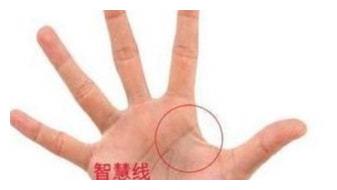 24种人格的掌相证据