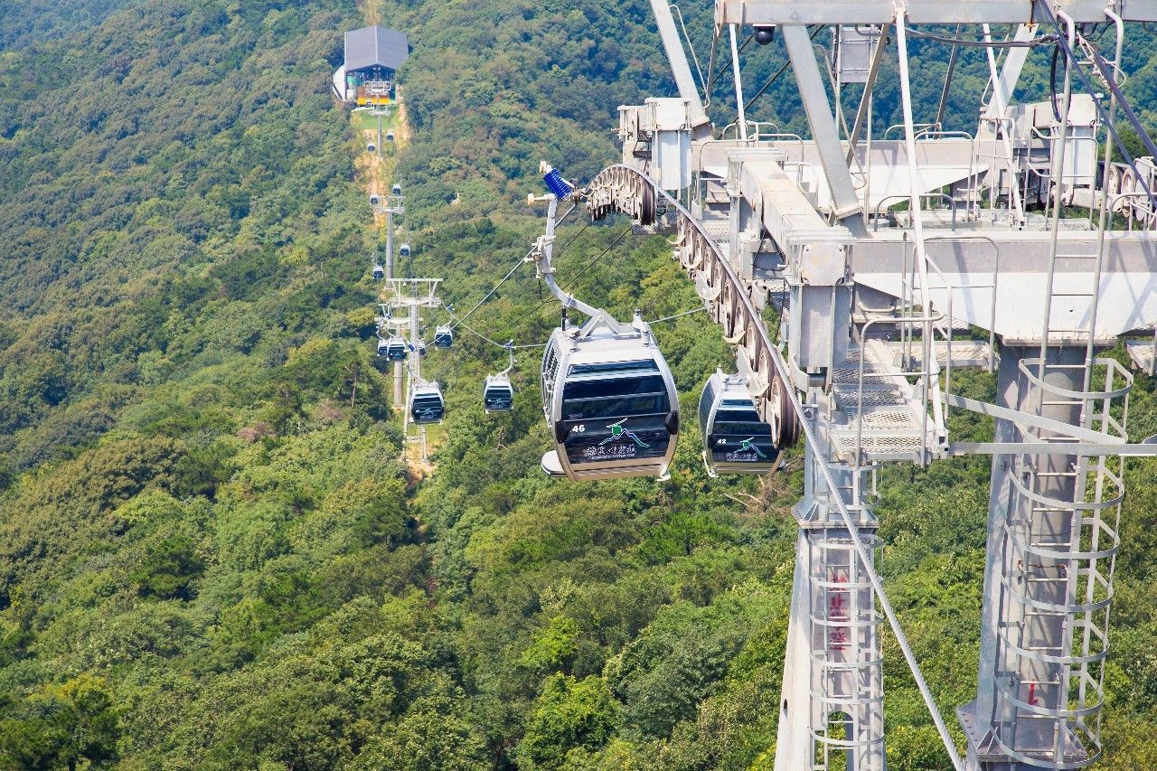 1 / 5 它就是南京紫金山国家森林公园.