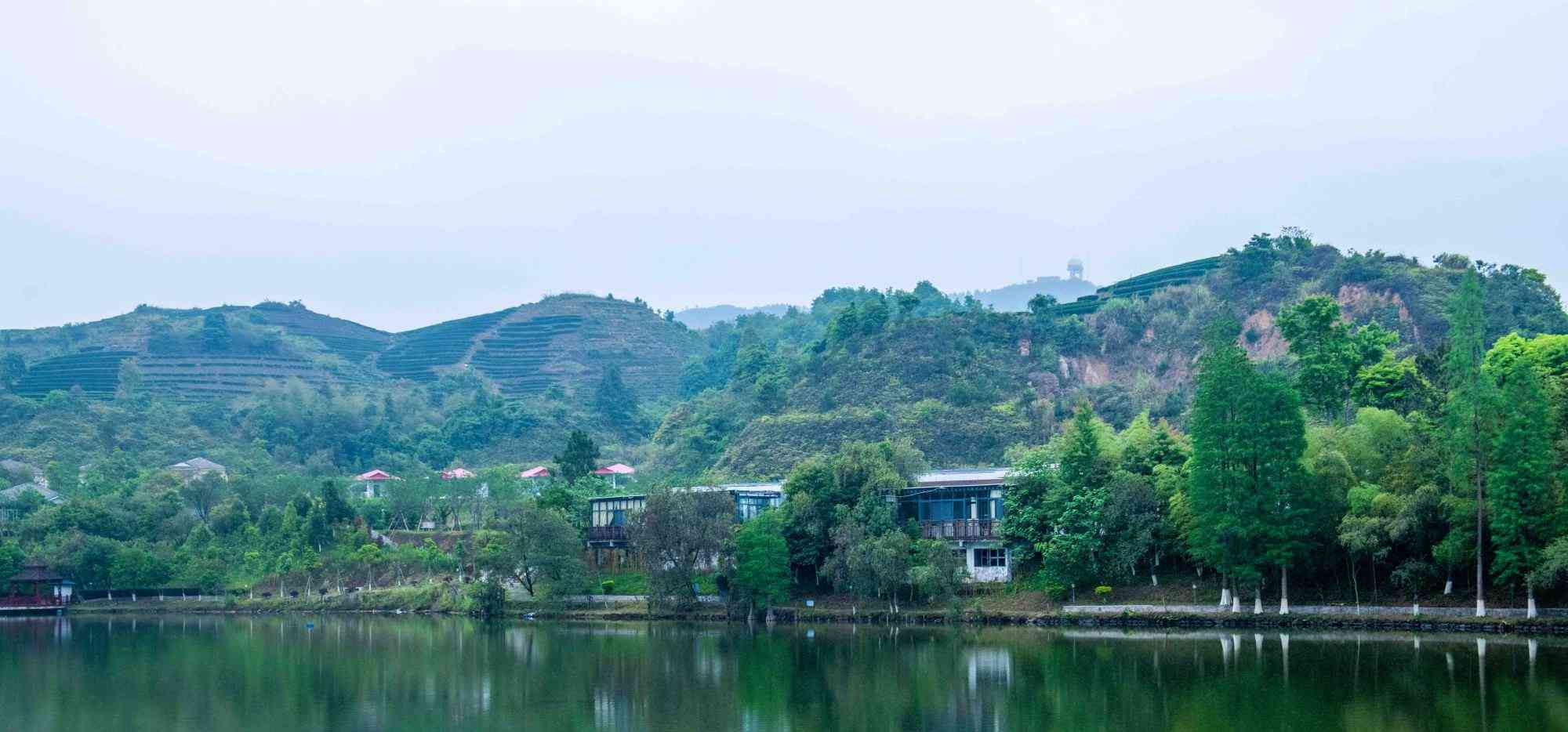 假日游玩推荐揭西大洋国际生态旅游区风景如画赶紧来打卡吧