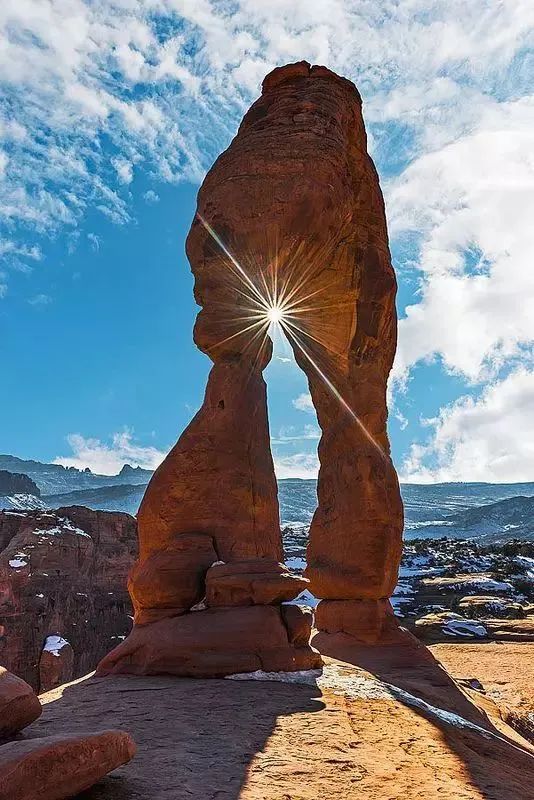 神奇的自然界,让人大饱眼福!