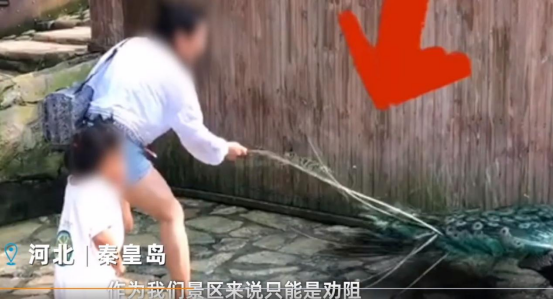 女子景区内拔掉孔雀羽毛,景区:不会对她进行任何处罚!休闲区蓝鸢梦想 - Www.slyday.coM 女子景区内拔掉孔雀羽毛,景区:不会对她进行任何处罚!休闲区蓝鸢梦想 - Www.slyday.coM