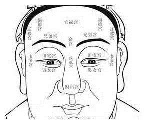 民间面相算命顺口溜 非常可怕 眉相 眉毛 印堂 新浪新闻