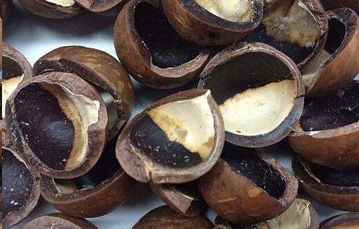 夏威夷果和核桃也是我们经常吃的坚果,夏威夷果和核桃的壳比较坚硬,不