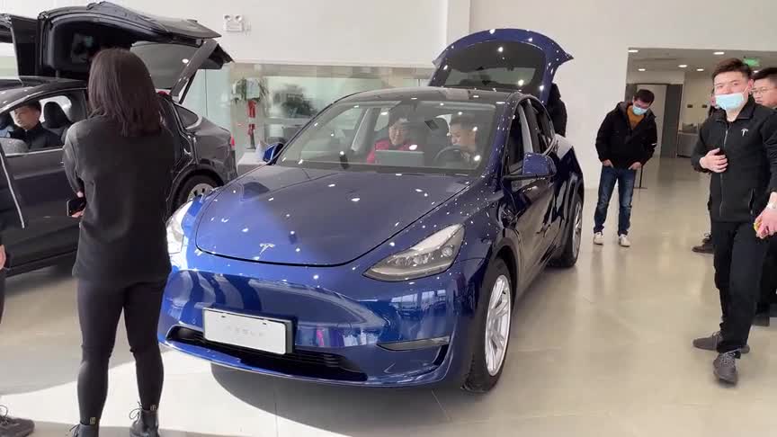 国产特斯拉modely静态详尽体验